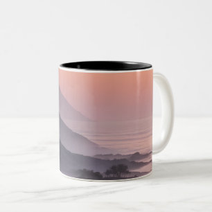 Taza Bicolor Diseños degradados que suavizan las transiciones d
