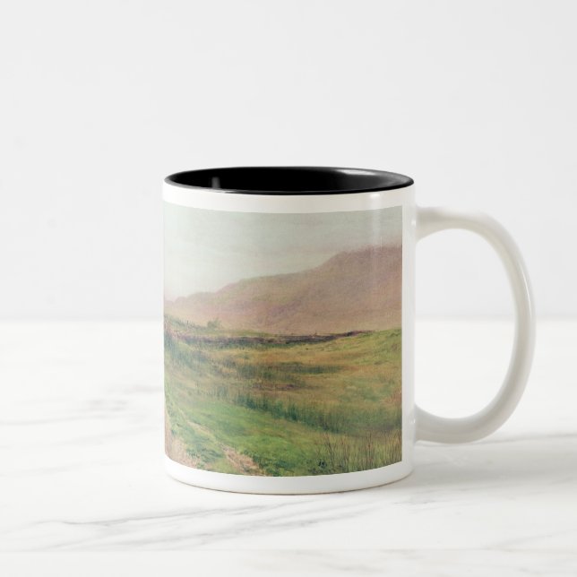 Taza Bicolor Distrito del lago (Derecha)