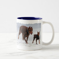 ¡Doberman y Pin del minuto - MIRADA! ¡Un mini yo!