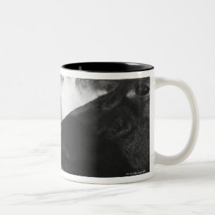 Taza Bicolor Dos becerros que empujan sus narices con el hueco