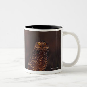 Taza Bicolor Dos búhos en la arena