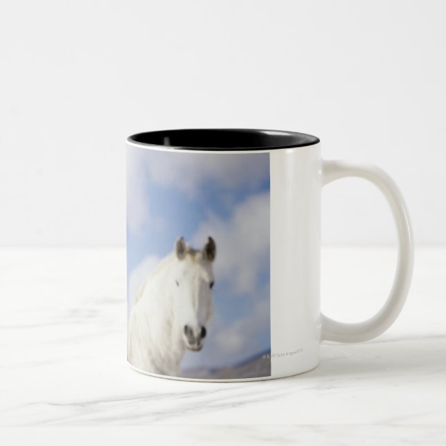 Taza Bicolor Dos caballos (Derecha)