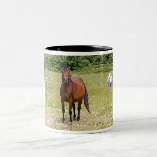 Taza Bicolor Dos caballos en un campo