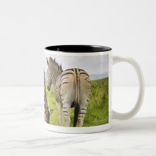 Taza Bicolor Dos cebras, Suráfrica