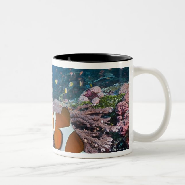 Taza Bicolor Dos Clownfish (Derecha)