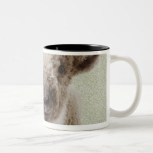 Taza Bicolor Dos corderos dentro con el papel pintado floral
