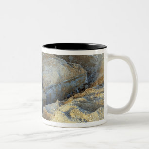 Taza Bicolor Dos dispositivos encajonados llenos