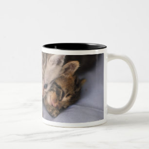 Taza Bicolor Dos gatitos
