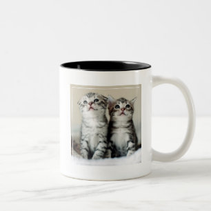 Taza Bicolor Dos gatitos lindos