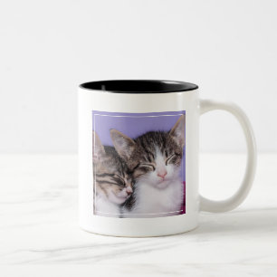 Taza Bicolor Dos gatitos lindos Napping