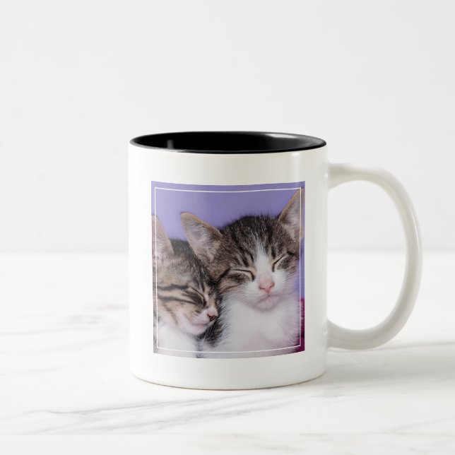Taza Bicolor Dos gatitos lindos Napping (Derecha)