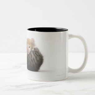 Taza Bicolor Dos gatitos que abrazan en el fondo blanco