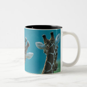 Taza Bicolor Dos jirafas (camelopardalis del Giraffa)