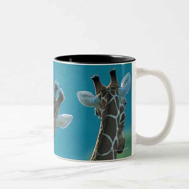 Taza Bicolor Dos jirafas (camelopardalis del Giraffa) (Derecha)