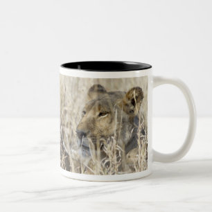 Taza Bicolor Dos leones ocultados en la hierba seca, nacional