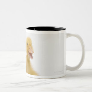 Taza Bicolor Dos patos con los huevos de Pascua