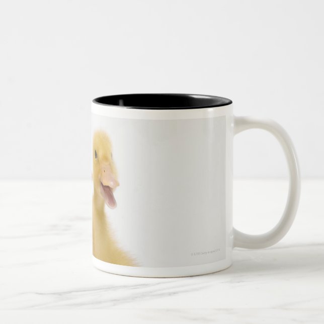 Taza Bicolor Dos patos con los huevos de Pascua (Derecha)