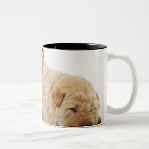 Taza Bicolor Dos perritos que duermen, tiro de Shar Pei del