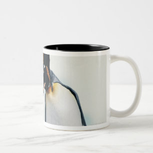 Taza Bicolor Dos pingüinos cariñosos