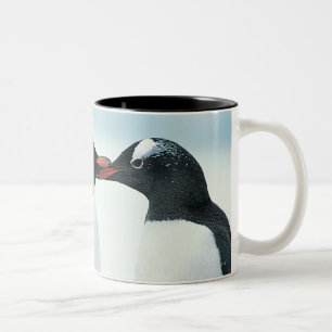 Taza Bicolor Dos pingüinos que tocan los picos