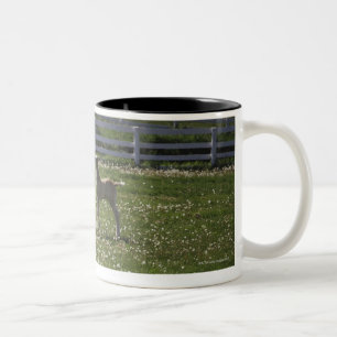 Taza Bicolor Dos potros en campo