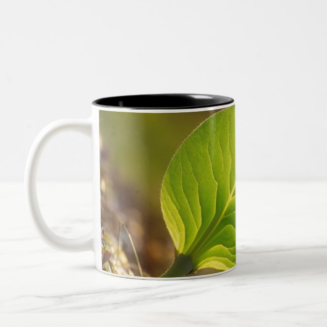 Taza Bicolor Dreamy Leaf Mug (Izquierda)