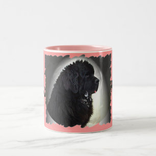 Taza Bicolor Drool Rules Newf Mug