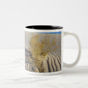 Taza Bicolor Dunas de arena en Monumento Nacional de Arenas Bla