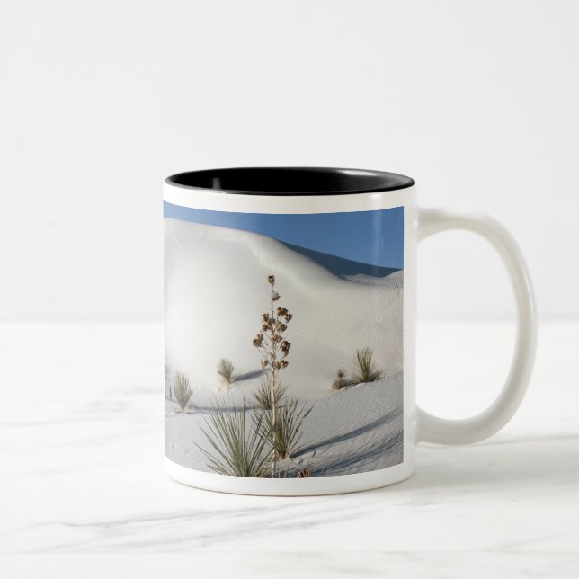 Taza Bicolor Dunas Transversales y Yucca de Jabón (Derecha)