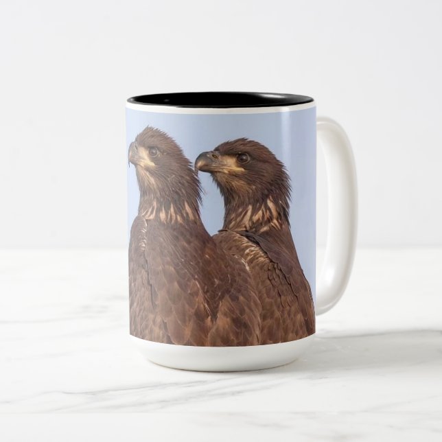 Taza Bicolor E17 y E18 Mug  (Anverso derecho)