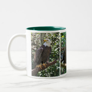 Taza Bicolor Eagle Mug