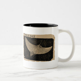 Taza Bicolor Eagle Ray Mug