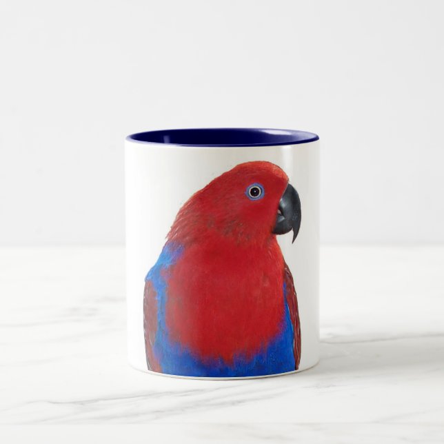 Taza Bicolor Eclectus femenino 11oz (Centro)