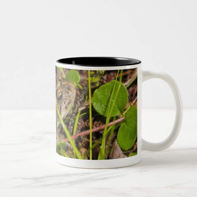 Taza Bicolor Edmonton, Alberta, Canadá (Derecha)