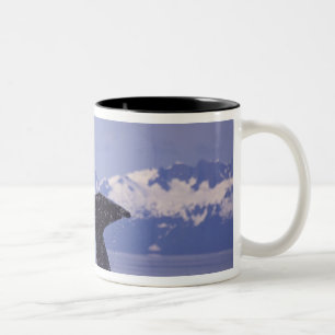 Taza Bicolor EE. UU., Alaska, ballena jorobada del Pasaje Inter