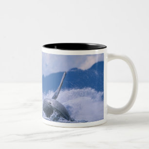 Taza Bicolor EE. UU., Alaska, Bosque Nacional Tongass, Jorobado