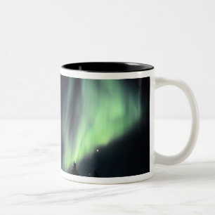 Taza Bicolor EE.UU., Alaska, Chena Hot Springs.Aurora