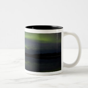 Taza Bicolor EE. UU., Alaska, Círculo Polar Ártico, Bettles. La