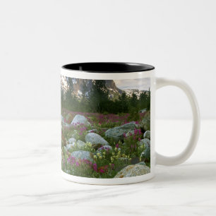 Taza Bicolor EE. UU., Alaska, Desierto de Alsek-Tatshenshini. V