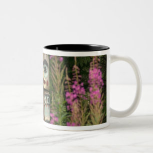 Taza Bicolor EE. UU., Alaska, Ketchikan, Totem Bight State