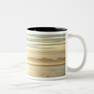 Taza Bicolor EE. UU., Alaska, sureste cerca de Ketchikan, puest