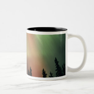 Taza Bicolor EE. UU., área de Fairbanks, Alaska Central, Aurora