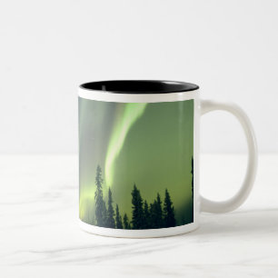 Taza Bicolor EE. UU., área de Fairbanks, Alaska central, Aurora
