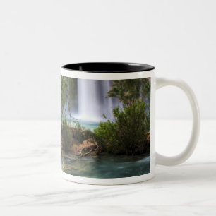 Taza Bicolor EE. UU., Arizona, Cañón de Havasu. La paz