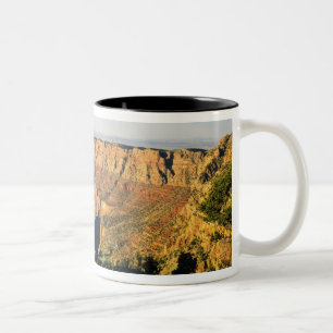 Taza Bicolor EE. UU., Arizona, Parque Nacional del Gran Cánion,