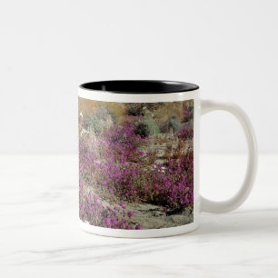 Taza Bicolor EE. UU., California, Anza-Borrego DSP. Duna al ata