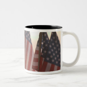Taza Bicolor EE. UU., California, Gold Country, Amador City: