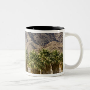 Taza Bicolor EE. UU., California, Parque Estatal del Desierto d