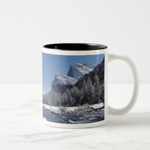 Taza Bicolor EE. UU., California, Parque Nacional Yosemite. El