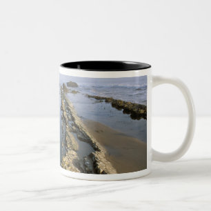 Taza Bicolor EE. UU., California, Santa Bárbara, playa de Henry